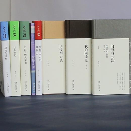 洪子诚学术作品集 洪子诚 著 北京大学出版社 商品图2