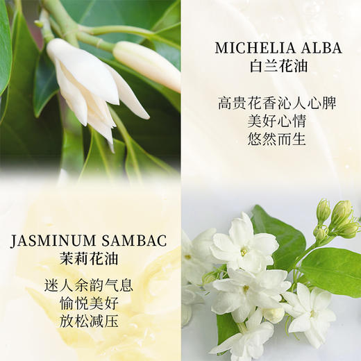 雪玉紧致抗皱面泥膏（50g/瓶） 商品图5