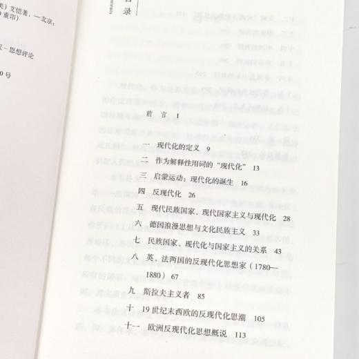 《持续焦虑：世界范围内的反现代化思潮》 商品图2