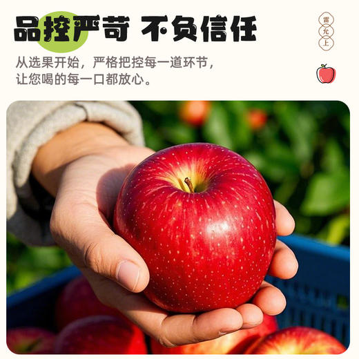 雷允上苹果山楂膏120g（10g*12条）/盒 商品图7