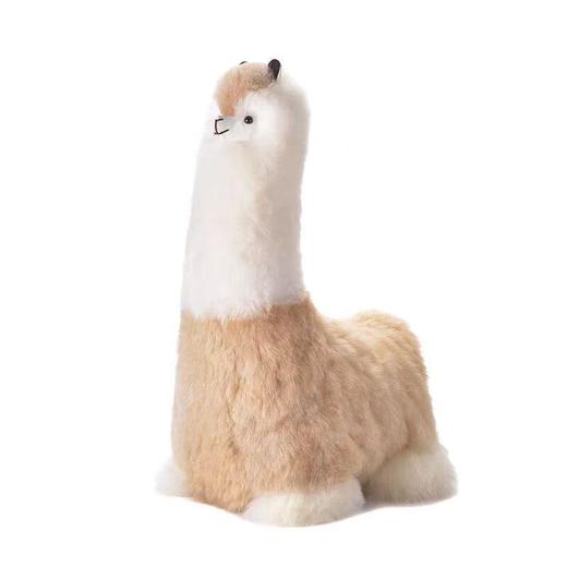 温暖驼60厘米大号羊驼毛玩偶公仔摆件双色 商品图0