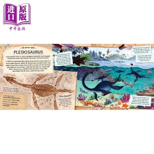 【中商原版】化石守护者的宝藏 Fossil Keepers Treasure 英文原版 儿童科普绘本 少儿百科知识图画书 进口童书 精装科学读物 商品图4