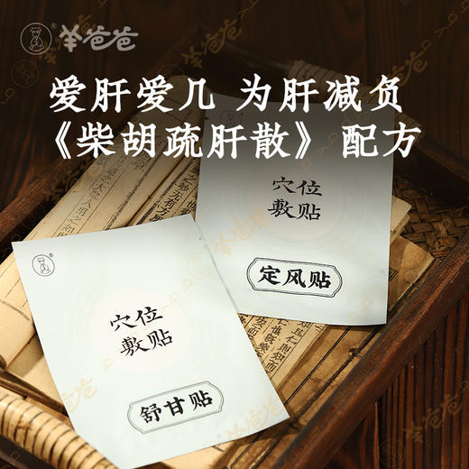 【舒甘定风贴套装】敷贴|草本膏体，双贴分型 商品图2
