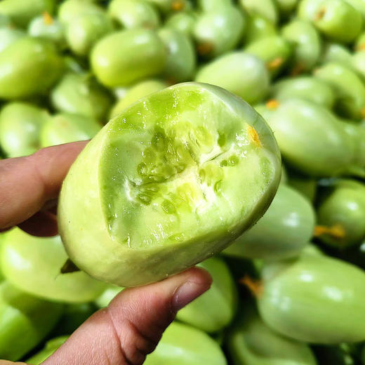 『玉女拇指小黄瓜』迷你水果黄瓜，新鲜脆嫩，饱满水润，清香可口 商品图7