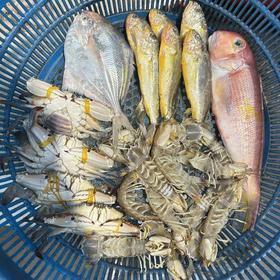 新渔港 高品质套餐