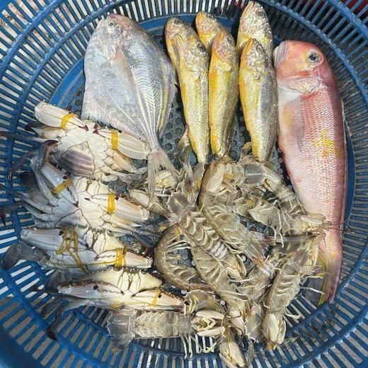 新渔港 高品质套餐 商品图0