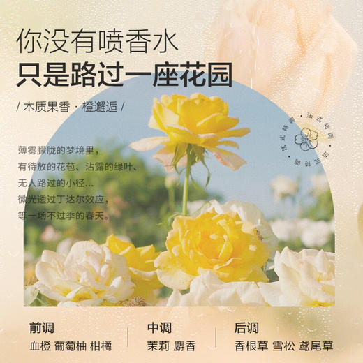 森之露 雪藻清爽去屑洗发露520ml   SZL-08 商品图5