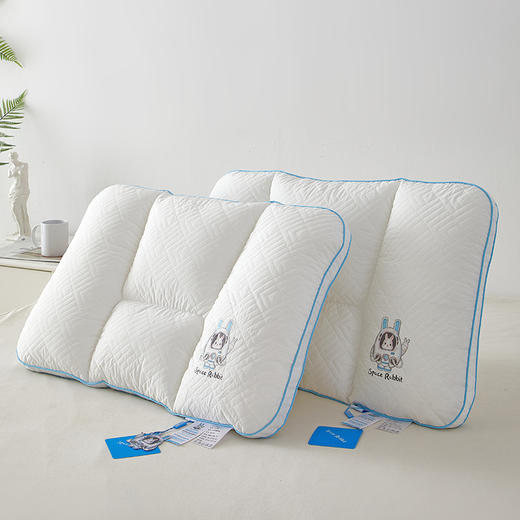 自然醒A类全棉太空兔安睡枕芯夏季护颈椎助睡眠枕头舒适家用单人整头一对XK 商品图9