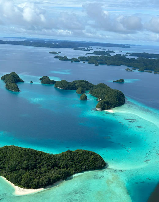 【海底奇观】 2025年5月3日- 5月8日 | 上帝的水族箱●帕劳 潜水/考证/度假6天5晚 商品图3