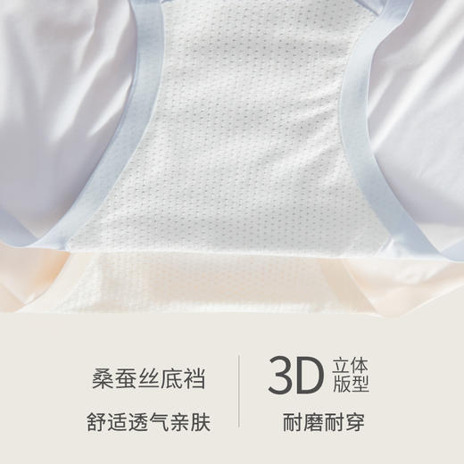 【超值6条装】法国利蜂/LOUIS ROYER 山茶花水光面膜裤3.0无痕升级版（+0.01元换购同款内裤1条） 商品图13