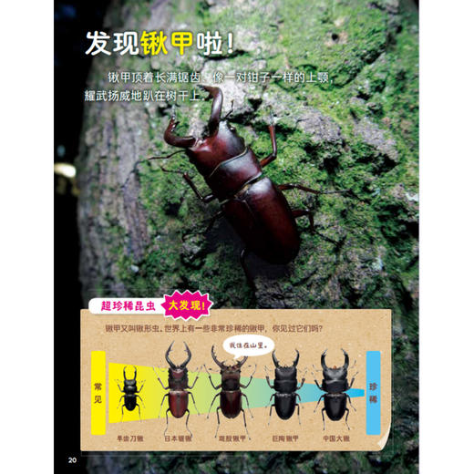 《好喜欢科学：好喜欢的大自然》（全11册） 商品图3