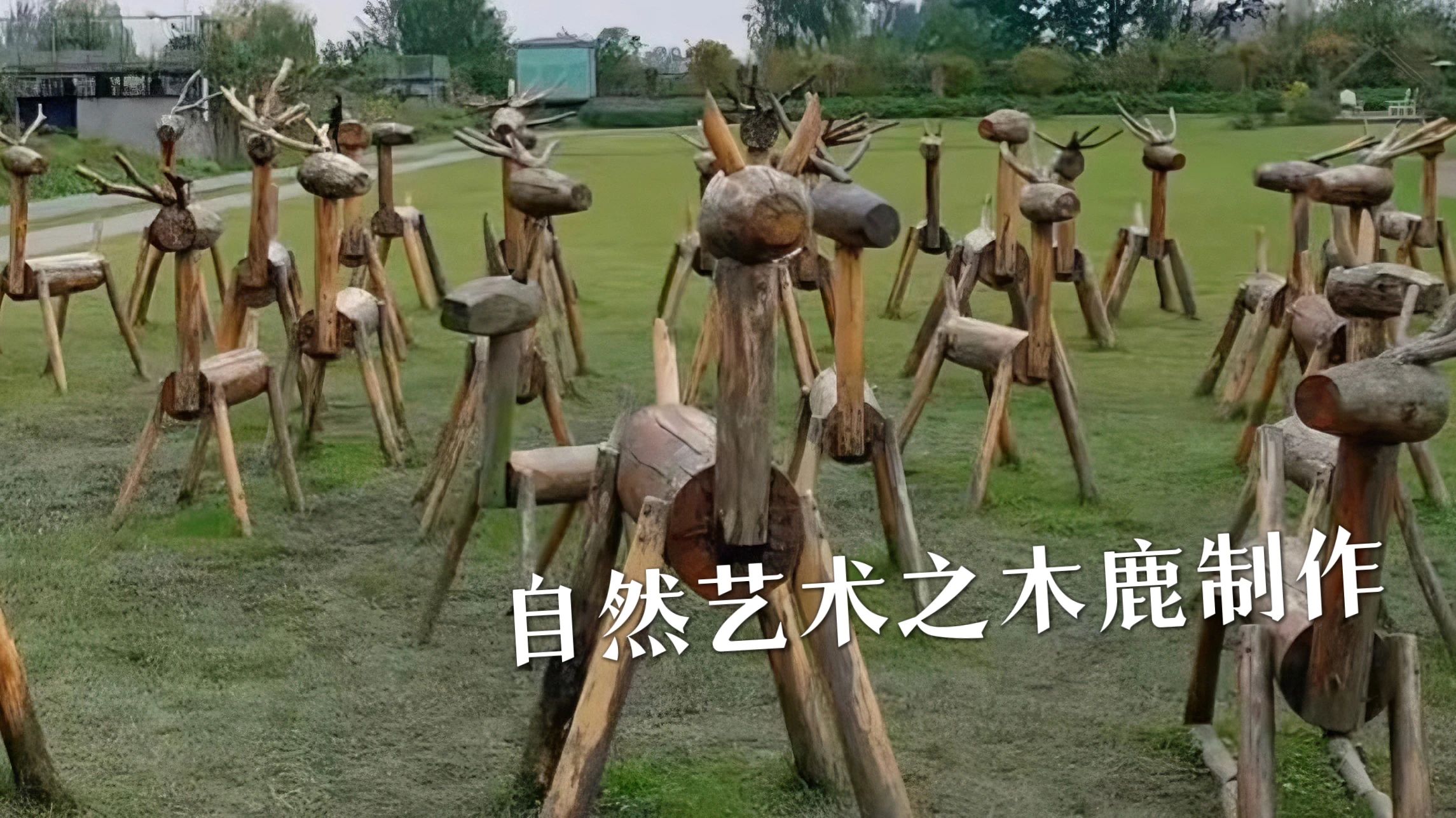 森林课程｜本月第四课——绝壁悬绳书勇志，灵鹿刻木绘童心！