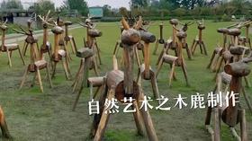 森林课程｜本月第四课——绝壁悬绳书勇志，灵鹿刻木绘童心！