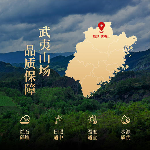 岩语 觅香肉桂茶叶礼盒装 特级武夷岩茶正宗中火乌龙茶送礼长辈192g 商品图3