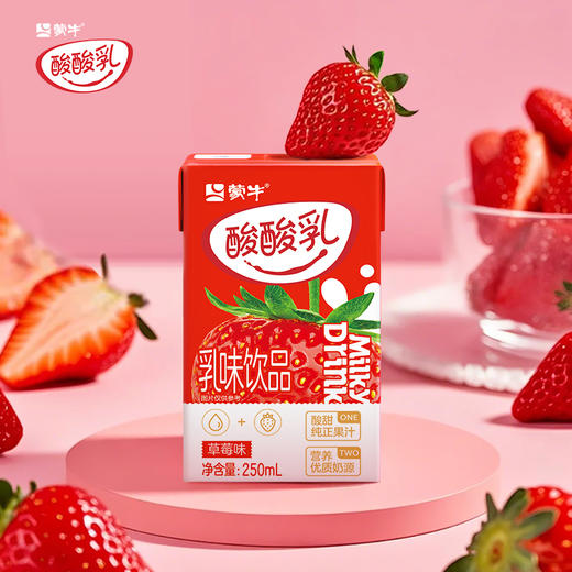 酸酸乳原味/草莓味方包250ml×24包   商品图3