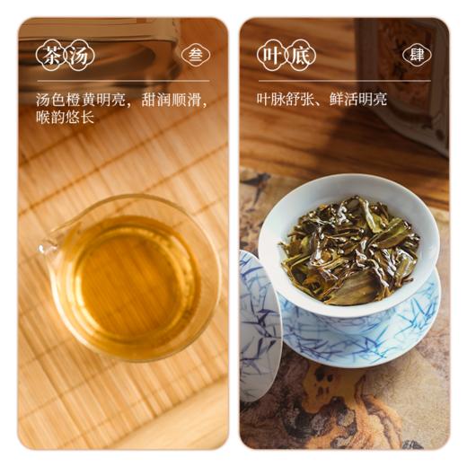 【南上荣】（橙）茶虎·黄栀香（蝴蝶罐）125g 商品图3