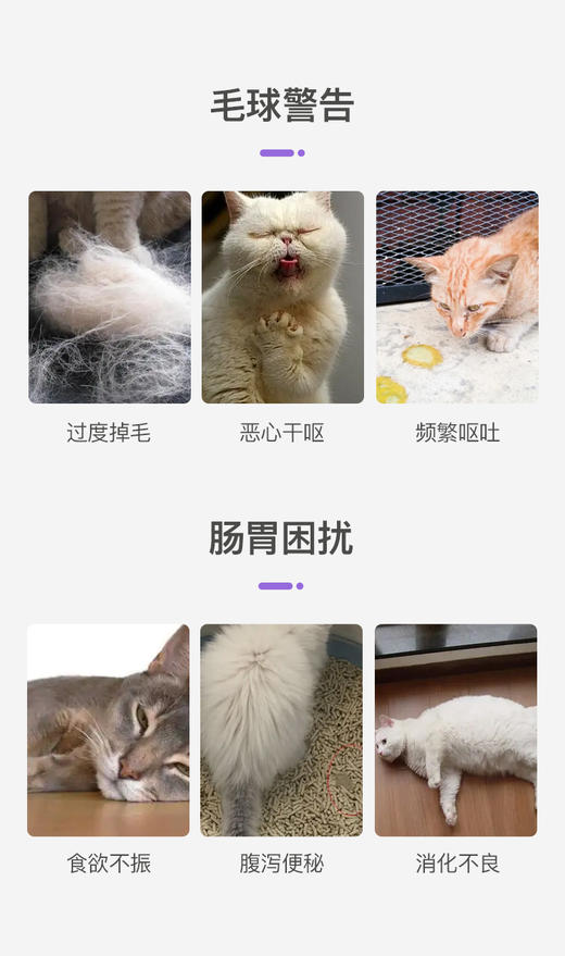 倍珍保肠胃健颗粒版系列 商品图6