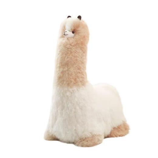 温暖驼60厘米大号羊驼毛玩偶公仔摆件双色 商品图1