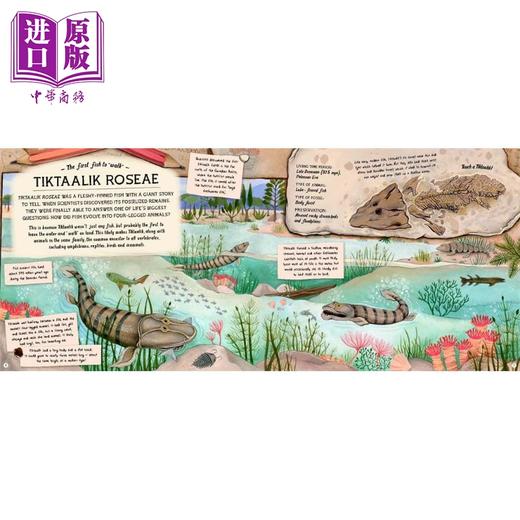 【中商原版】化石守护者的宝藏 Fossil Keepers Treasure 英文原版 儿童科普绘本 少儿百科知识图画书 进口童书 精装科学读物 商品图1