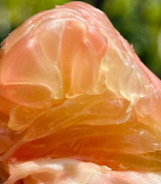 泰国翡翠柚|果型饱满圆润，肉质金黄，爆汁清甜，柚味十足~ 商品图2