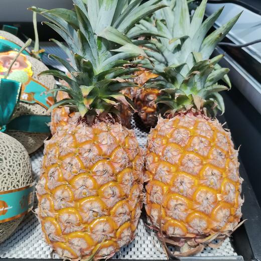 凤梨/500g 商品图0