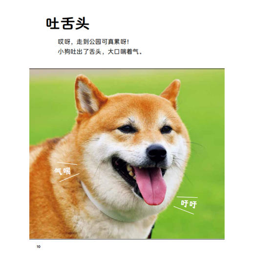 《好喜欢科学：好喜欢的大自然》（全11册） 商品图5