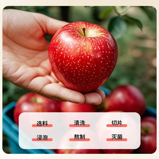 雷允上苹果黄芪膏120g（10g*12条）/盒 商品图5