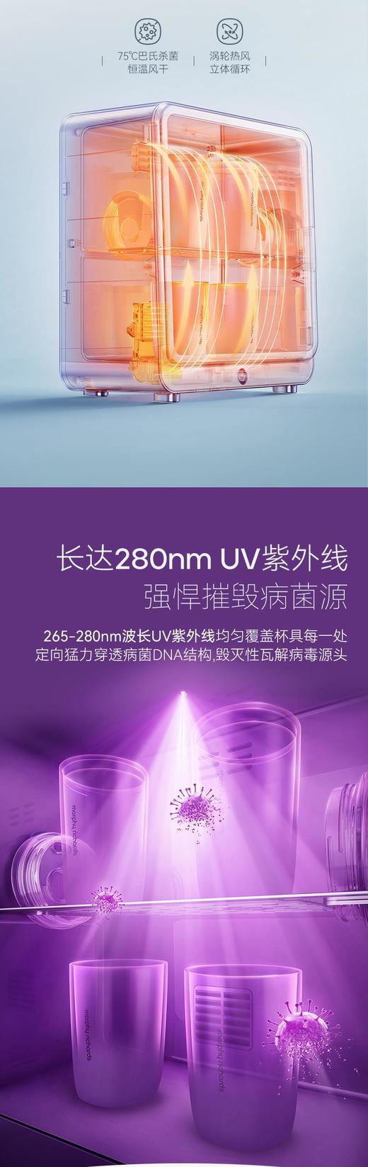 摩飞杯壶消毒器MR1033 商品图4