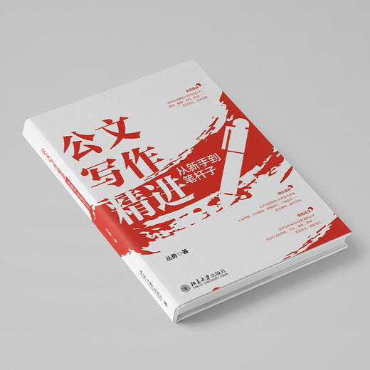 公文写作精进：从新手到笔杆子 丛勇 著 北京大学出版社 商品图4