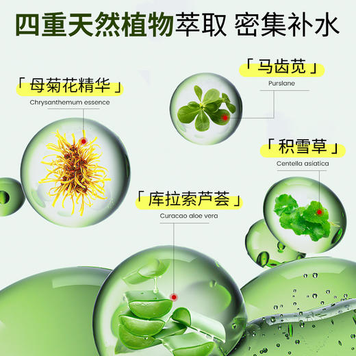 【品牌方直销】纯春堂身体乳保湿滋润秋冬干燥止痒正品留香舒缓全身清爽润肤露 商品图3