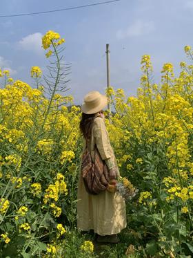 闪照第114期 花野之中