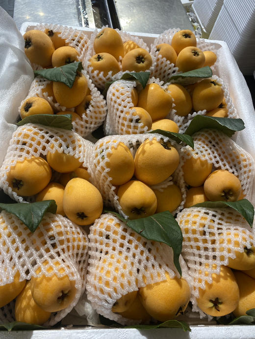 宏丰精选 云南蒙自枇杷，枇杷味浓郁，带点微酸，活动价19.8元一斤 商品图9