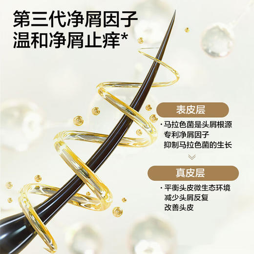 森之露 雪藻清爽去屑洗发露520ml   SZL-08 商品图1