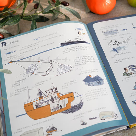 《我们的食物从哪里来》3-8岁 7种食物14个生产场景，精细分类的知识内容，为孩子实景展现身边最常见食物的来源 商品图4