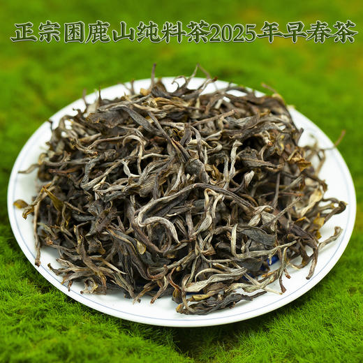 2025年春茶 困鹿山核心产区大树春茶醇料普洱茶50克 商品图3