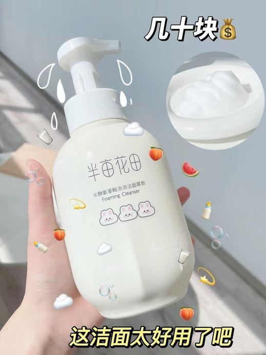 半亩花田米酵氨基酸泡泡洁面慕斯 500ml 商品图0