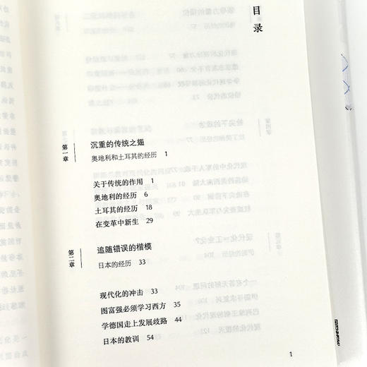 钱乘旦 / 刘金源《现代化的迷途》 商品图3