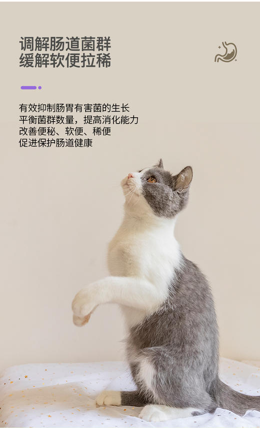 倍珍保肠胃健颗粒版系列 商品图11
