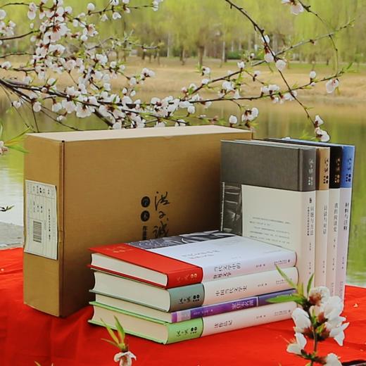 洪子诚学术作品集 洪子诚 著 北京大学出版社 商品图3