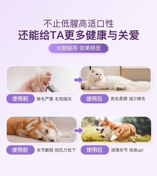 倍珍保黄金秘鲁鳀鱼天然鱼油 商品图5