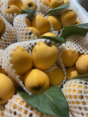 宏丰精选 云南蒙自枇杷，枇杷味浓郁，带点微酸，活动价19.8元一斤