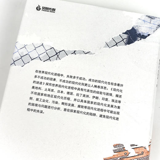 钱乘旦 / 刘金源《现代化的迷途》 商品图5