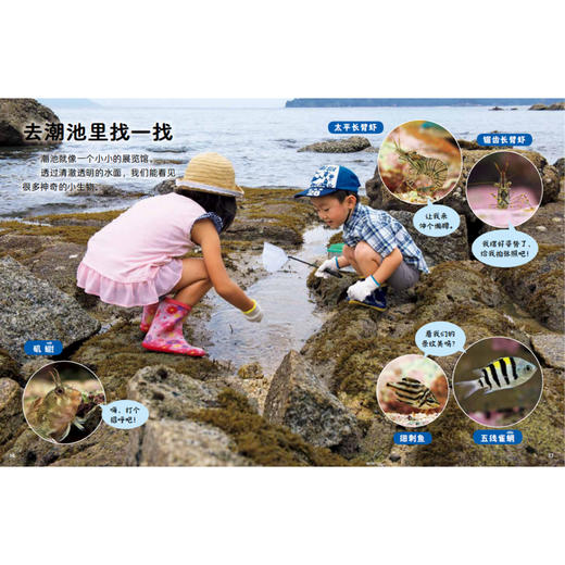 《好喜欢科学：好喜欢的大自然》（全11册） 商品图12