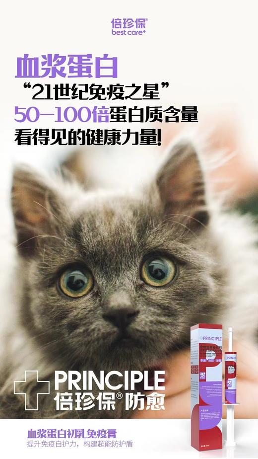 血浆蛋白初乳免疫膏 商品图10