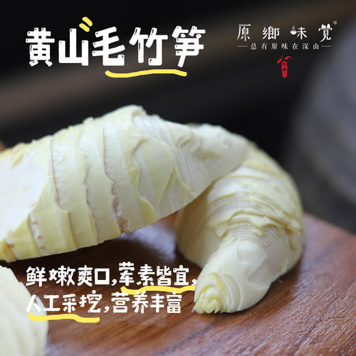 黄山野生冬笋（基地直发-顺丰包邮）|3斤、5斤装，来自安徽黄山，采集者：许学超【合作生产，公平贸易】 商品图0