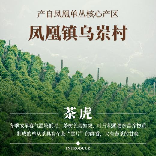 【南上荣】（橙）茶虎·黄栀香（蝴蝶罐）125g 商品图1