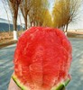 丞起小西瓜（1.5斤左右） 商品缩略图2