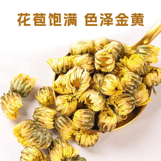 延水儒牛胎菊茶100g/罐 商品图3