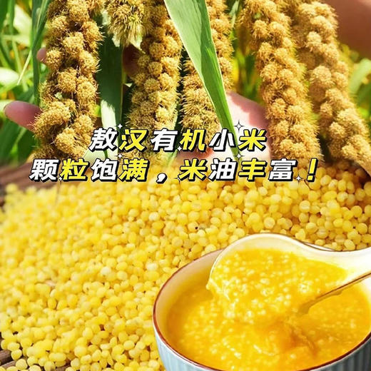 【2袋减5】【敖汉小米】来自“世界小米之乡” 8000年历史 颗粒饱满圆润 米油丰富 口感软糯 精选金苗K1原粮谷子 无添加 无染色 2.5kg装 新老包装随机发 商品图9