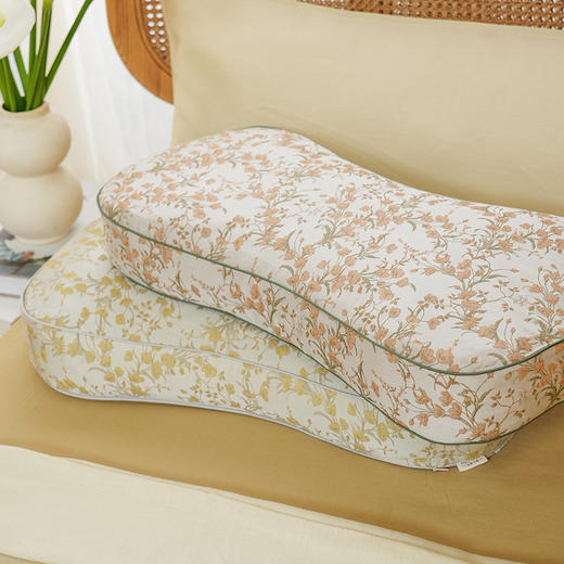 金枝玉叶系列曲线枕头护颈椎助睡眠专用荞麦皮成人睡觉家用单人 商品图3